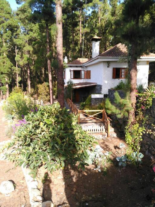 Floral Garden House Villa Icod De Los Vinos Eksteriør bilde